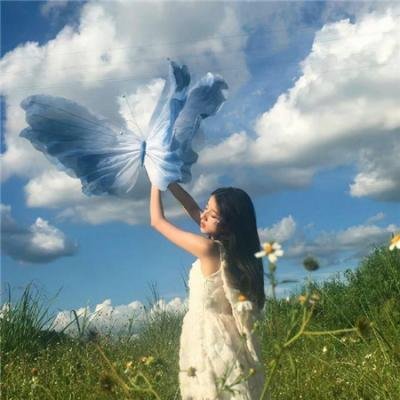 搜索并摧毁